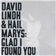 David Lindh & Hail Marys - Glad I Found You